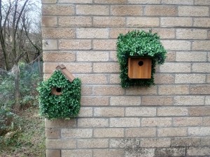 Greencap - Bird Boxes