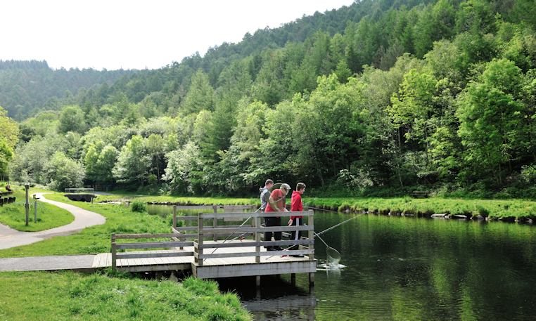 Fishing at Cwmcarn Forest